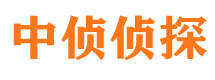 陆川出轨调查